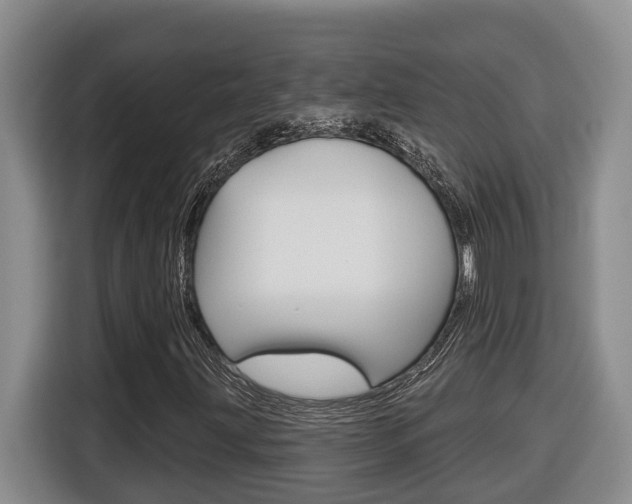 X0000116511203200912090940