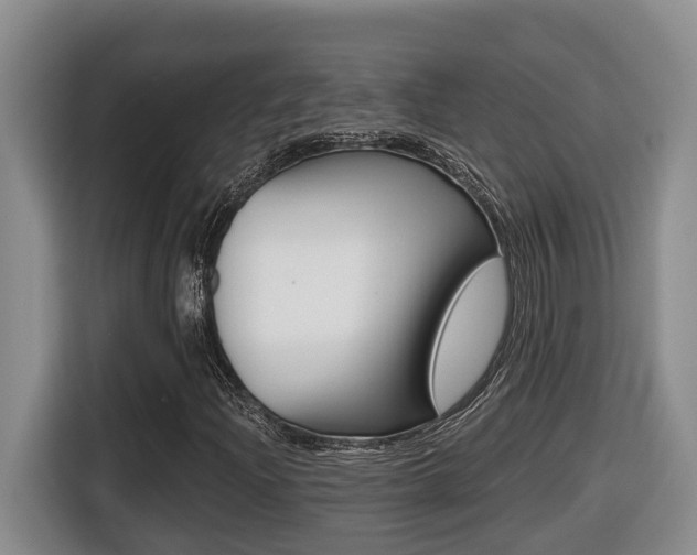 X0000116511204200912090940