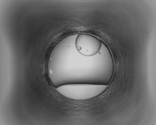 X0000116511205200912090940