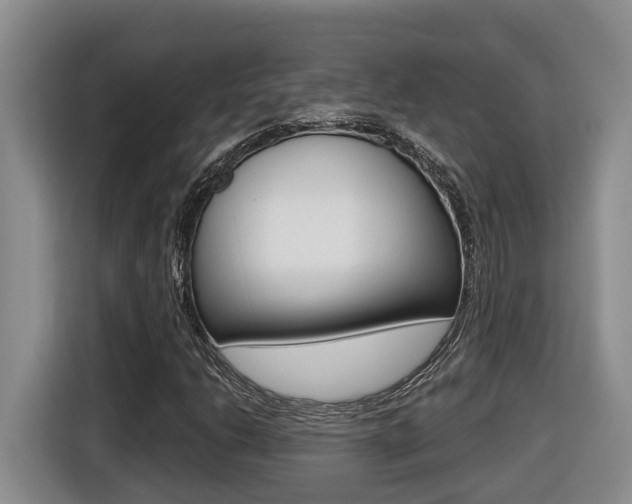 X0000116511206200912090940