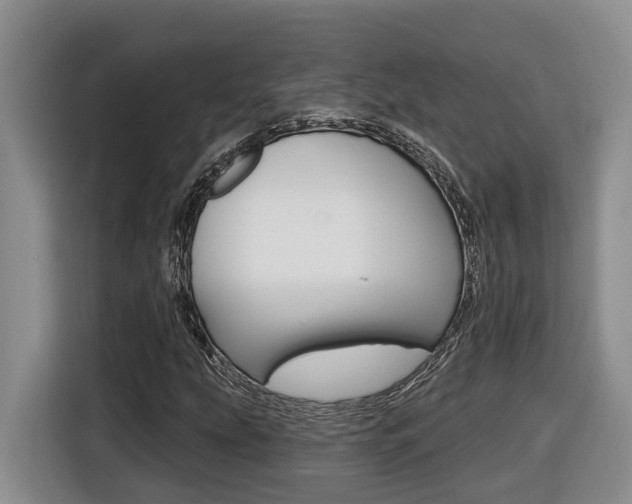X0000116511207200912090940