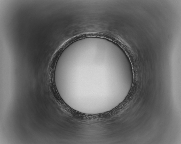 X0000116511208200912090940