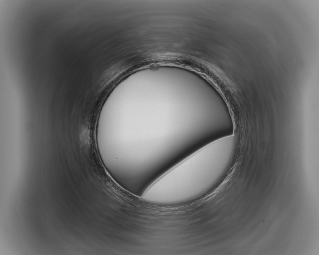 X0000116511209200912090940