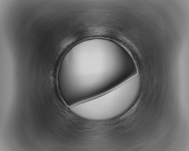 X0000116511210200912090940