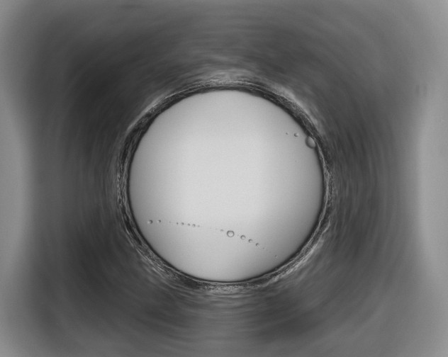 X0000116511211200912090940