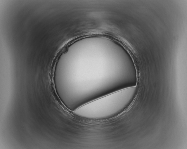 X0000116511212200912090940