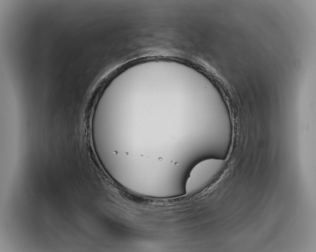 X0000116511215200912090940