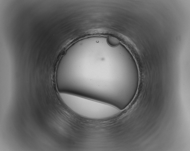 X0000116511217200912090940