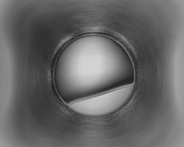 X0000116511218200912090940