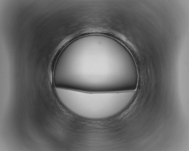 X0000116511221200912090940