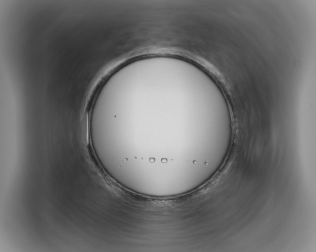 X0000116511223200912090940