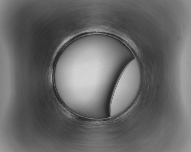 X0000116511224200912090940
