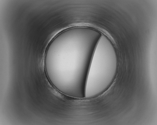 X0000116511228200912090941