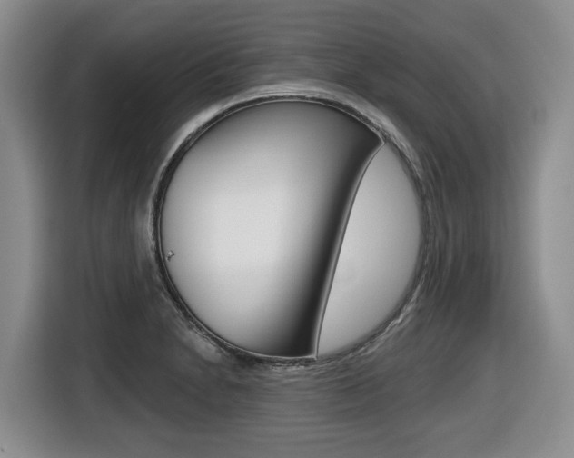 X0000116511230200912090941