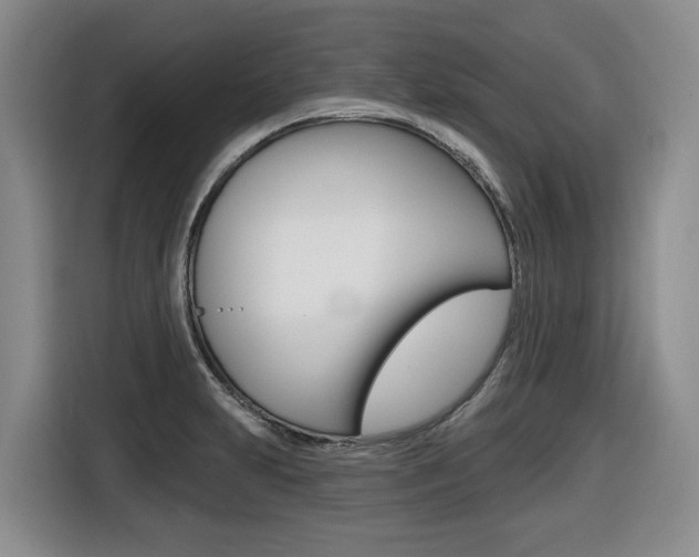X0000116511231200912090941