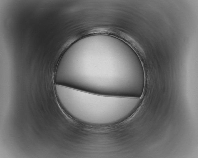 X0000116511233200912090941