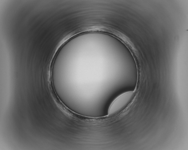 X0000116511234200912090941