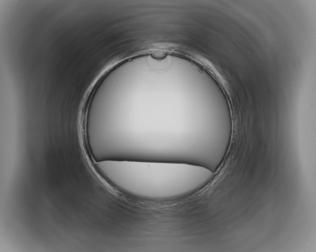 X0000116511235200912090941