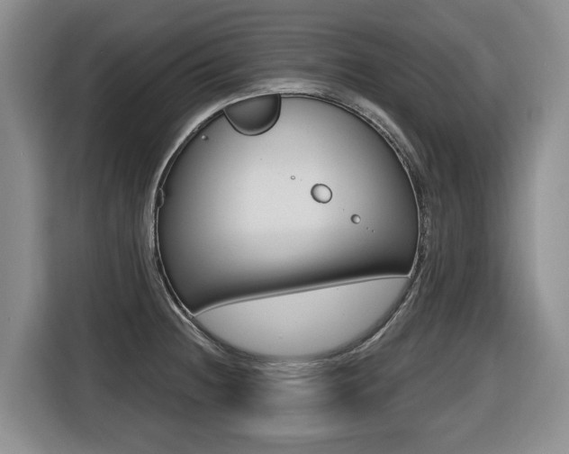 X0000116511236200912090941