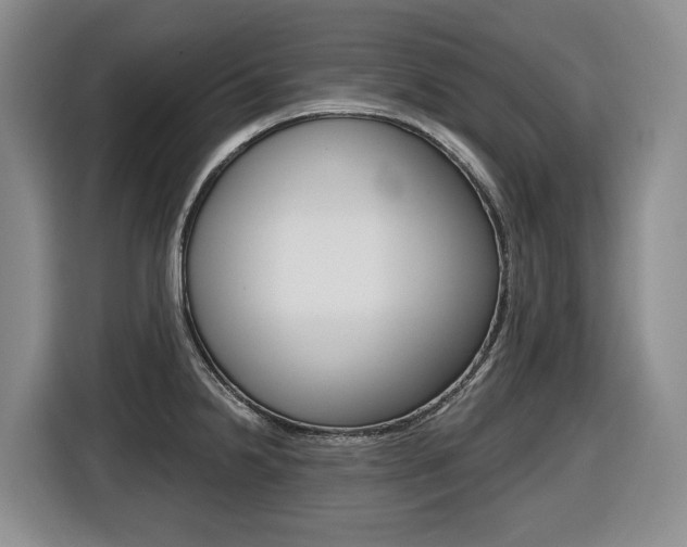 X0000116511238200912090941