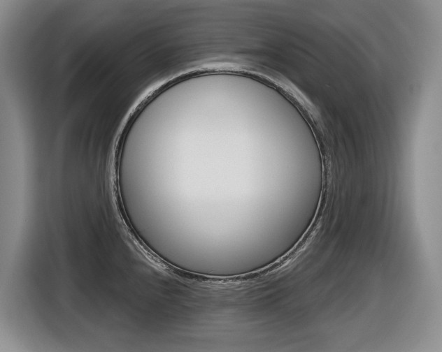 X0000116511240200912090941