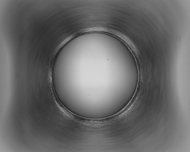 X0000116511241200912090941