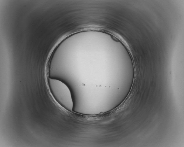 X0000116511243200912090941