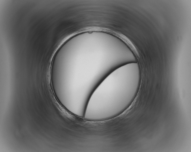 X0000116511244200912090941