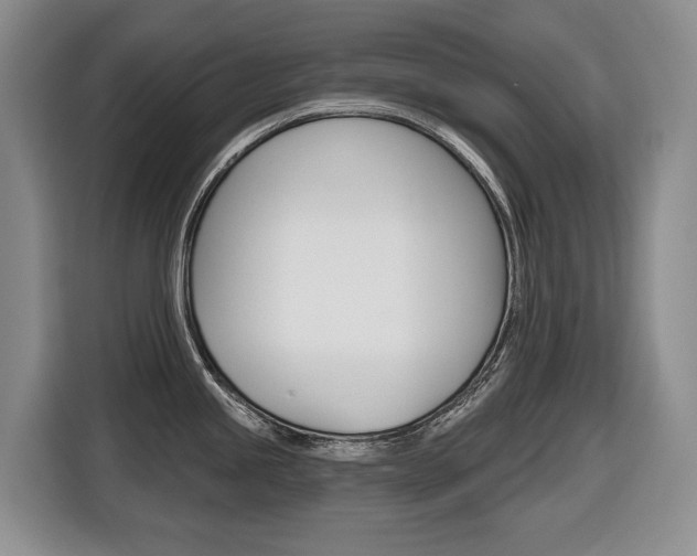 X0000116511245200912090941