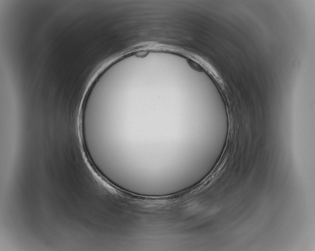 X0000116511247200912090941