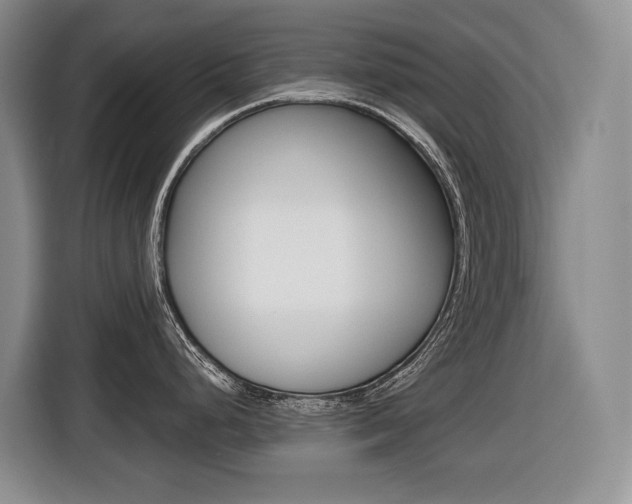 X0000116511248200912090941