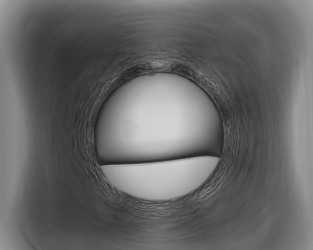 X0000116511249200912090940