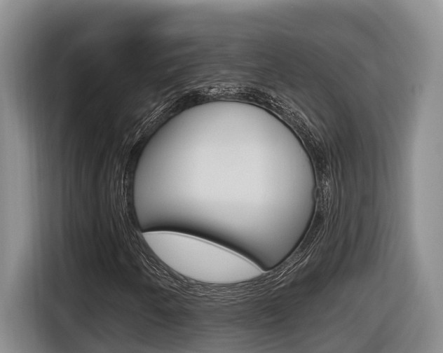 X0000116511250200912090940