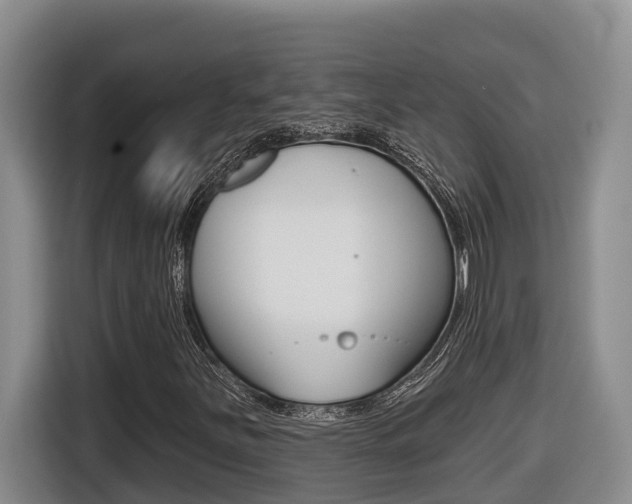 X0000116511251200912090940