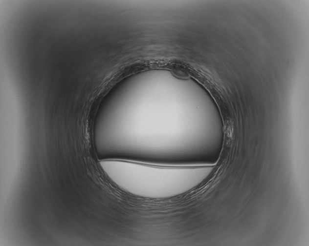 X0000116511252200912090940