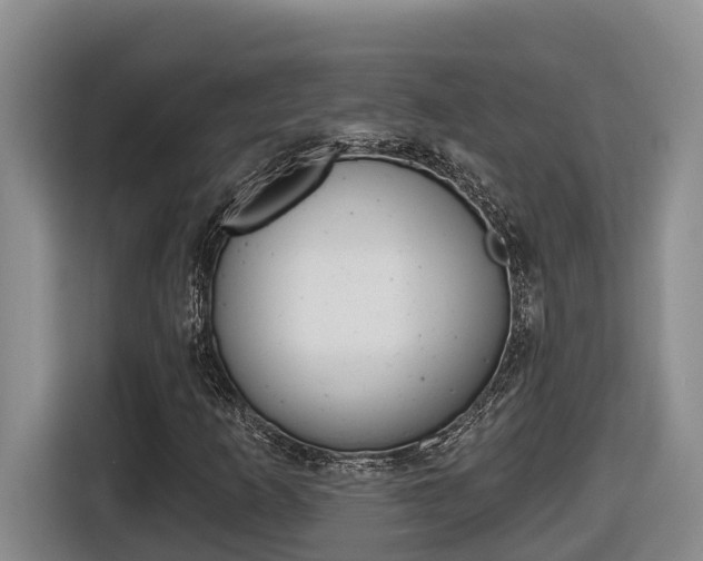X0000116511253200912090940