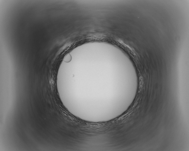 X0000116511254200912090940