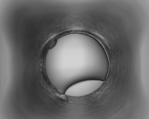 X0000116511255200912090940