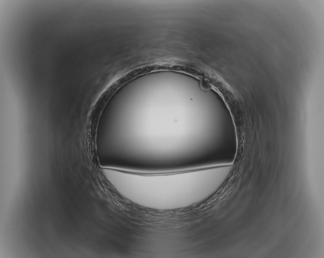 X0000116511256200912090940