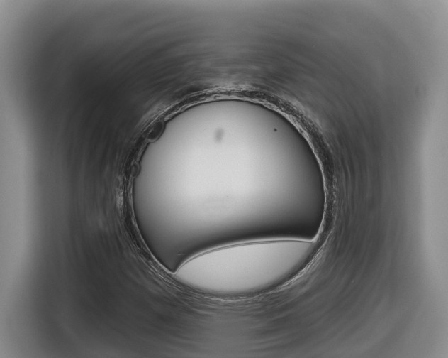 X0000116511257200912090940