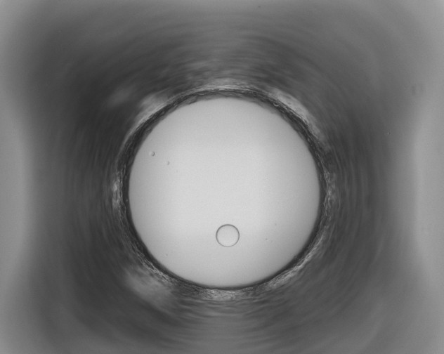 X0000116511258200912090940