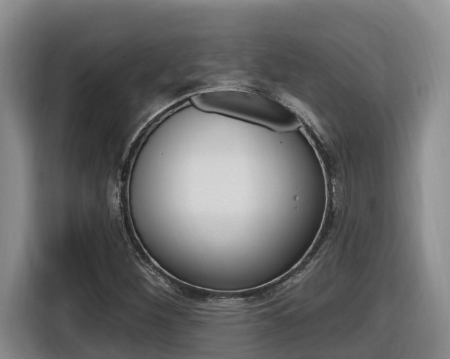 X0000116511260200912090940