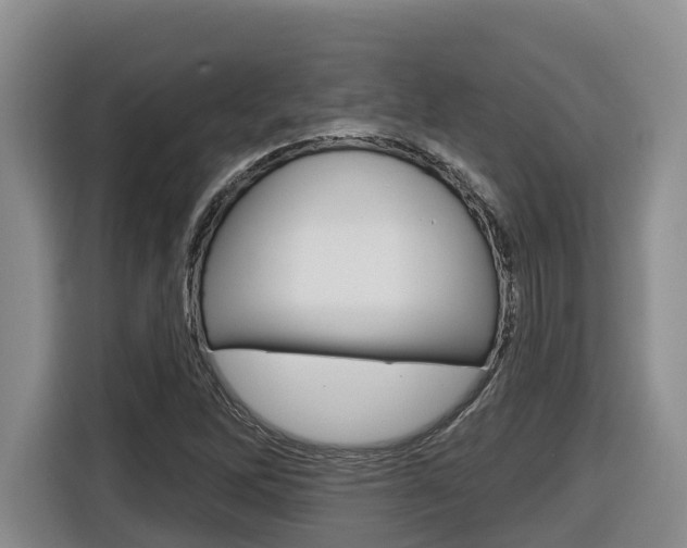 X0000116511262200912090940