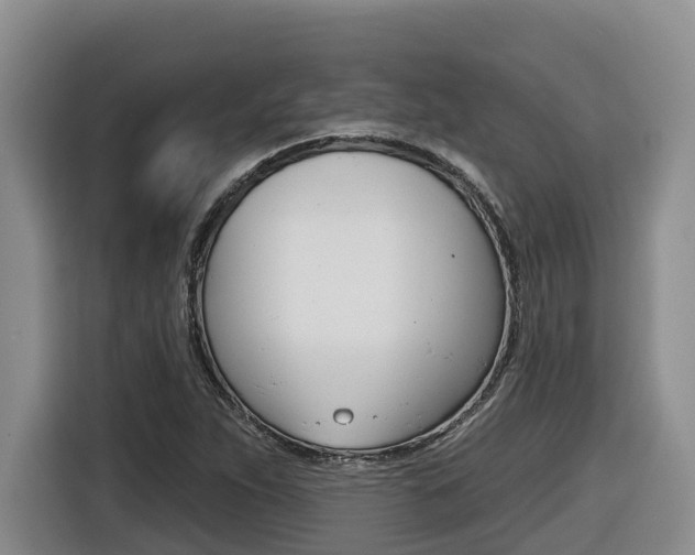 X0000116511263200912090940