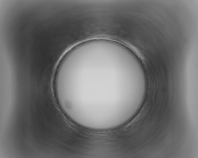 X0000116511264200912090940