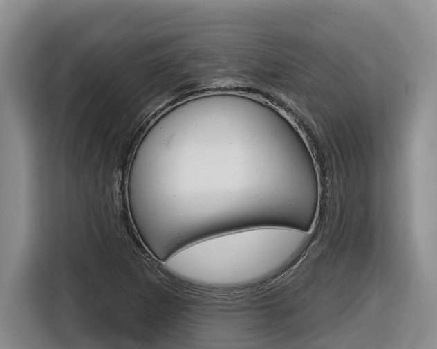 X0000116511265200912090940