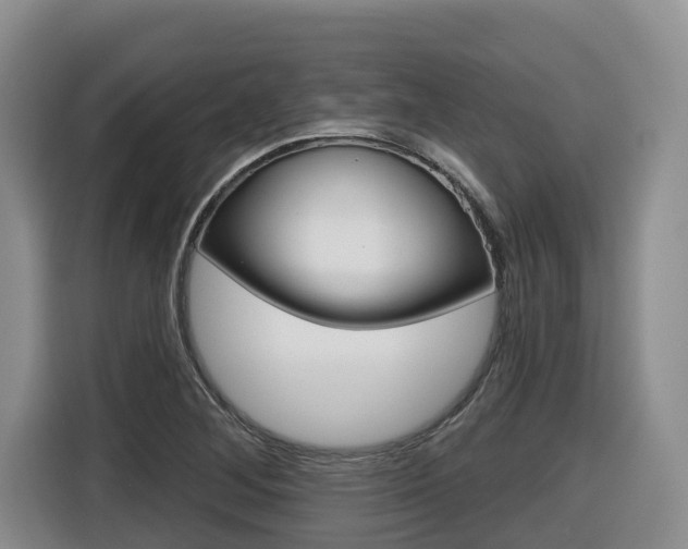 X0000116511268200912090940