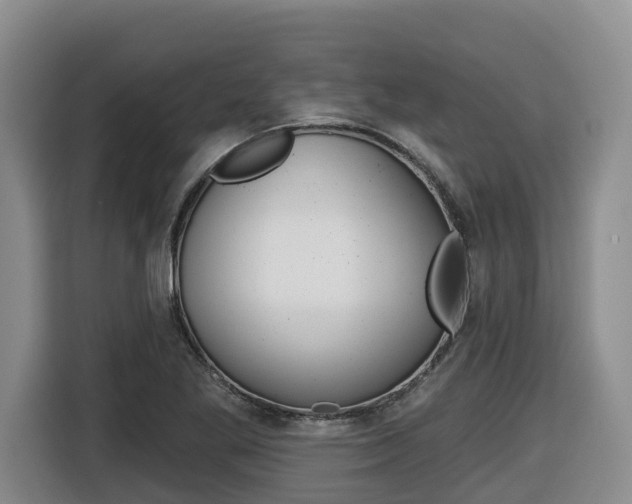 X0000116511269200912090940