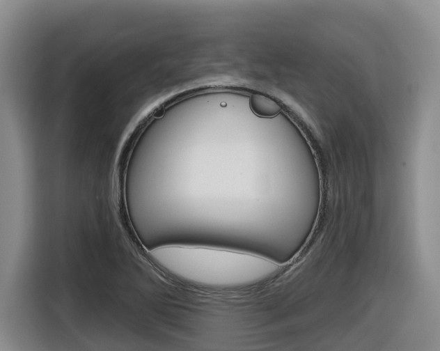 X0000116511270200912090940