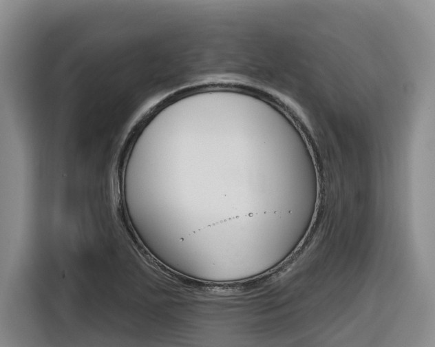 X0000116511271200912090940